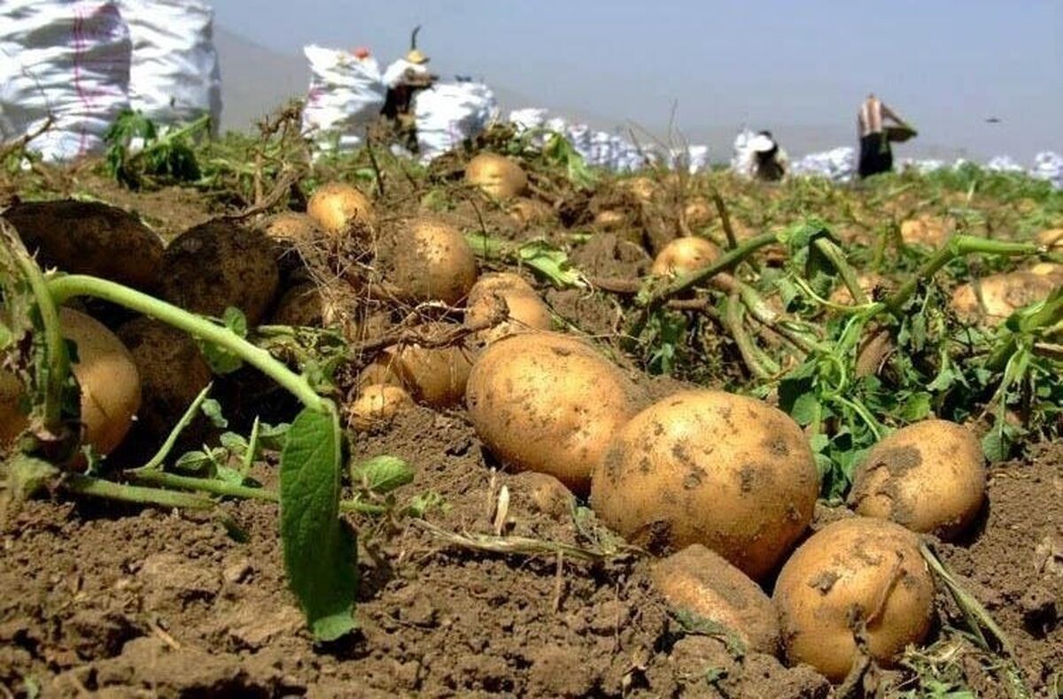 پیام خراسان