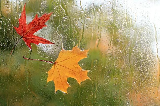 پیش‌بینی رگبار پراکنده و تندباد لحظه‌ای در ارتفاعات هرمزگان