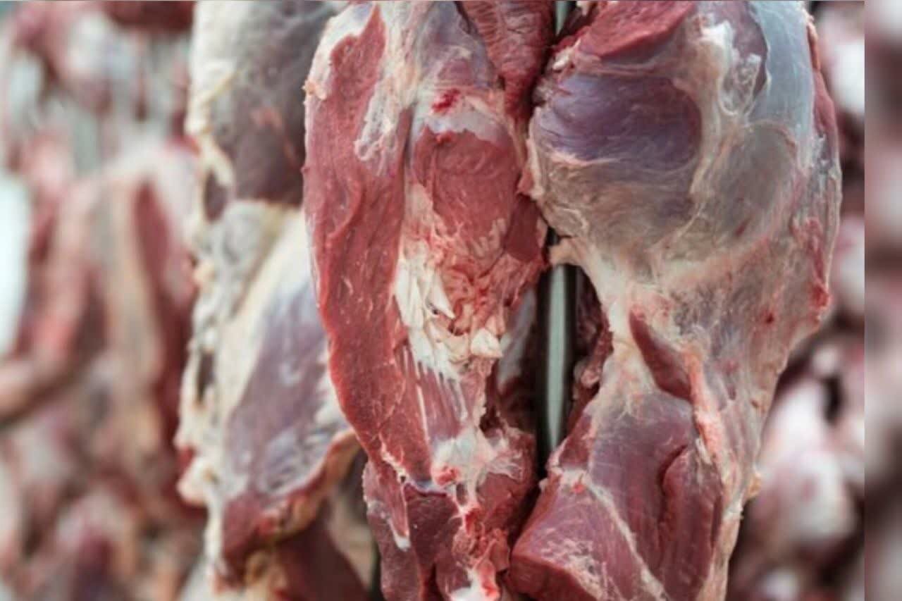 بیماری ‌های مرگبار در برابر گوشت‌های ذبح شده در خانه