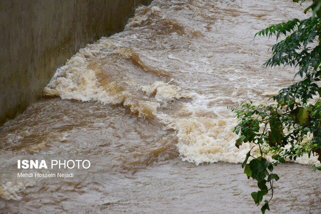سدهای بوشهر آماده آبگیری سیلاب‌های احتمالی