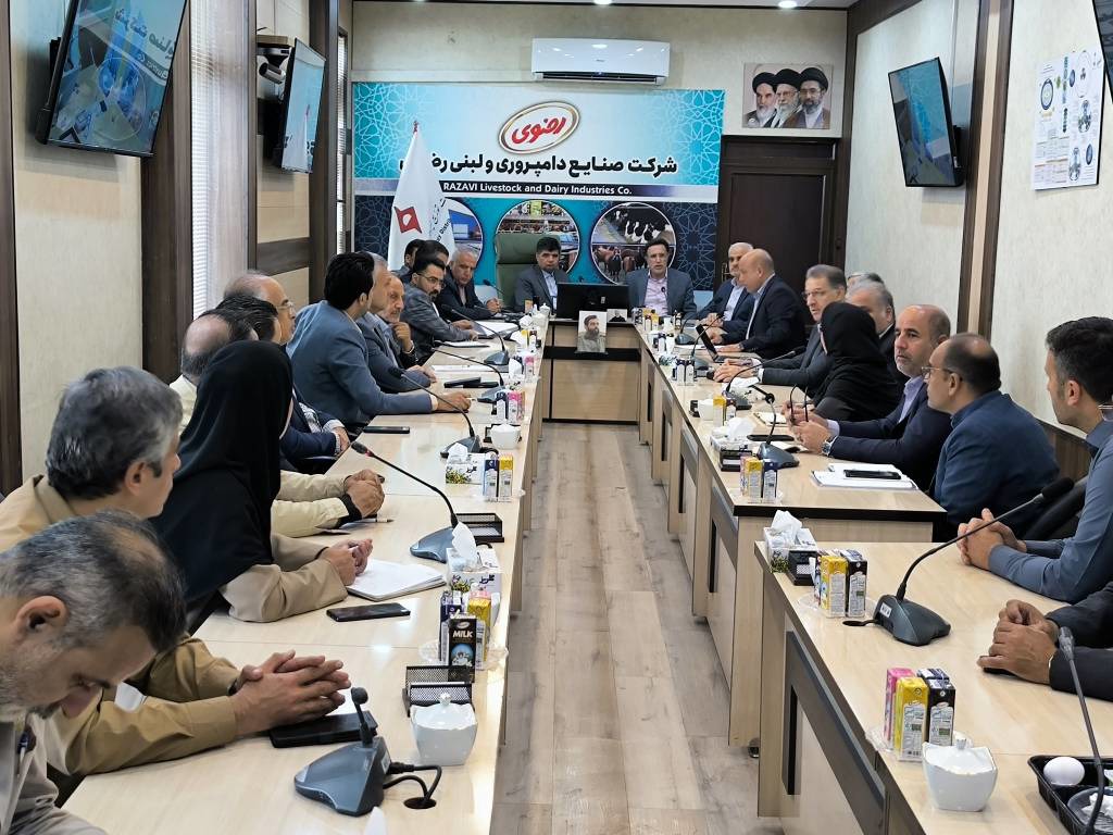 جهش تولید انرژی‌های تجدیدپذیر در شهرستان مشهد