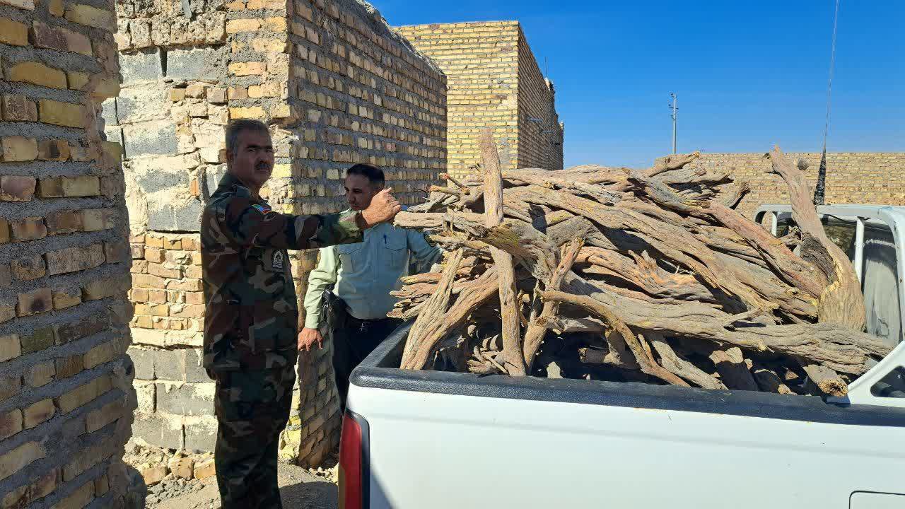 کشف یک تن چوب جنگلی در تایباد