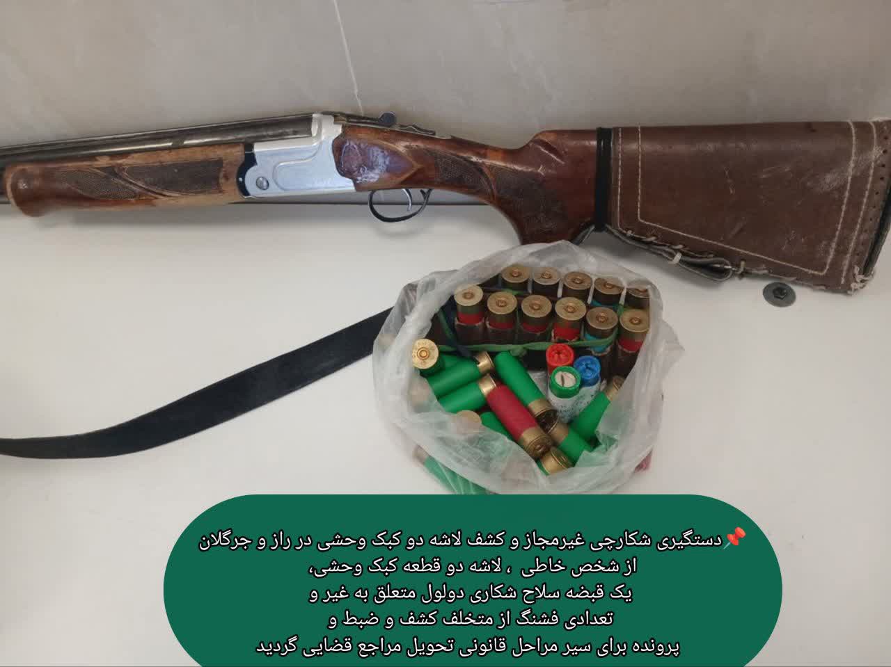 دستگیری شکارچی غیرمجاز و کشف لاشه دو کبک وحشی در راز و جرگلان