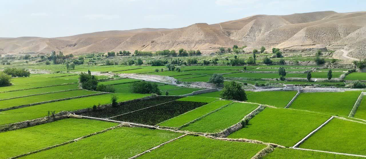 پیام خراسان