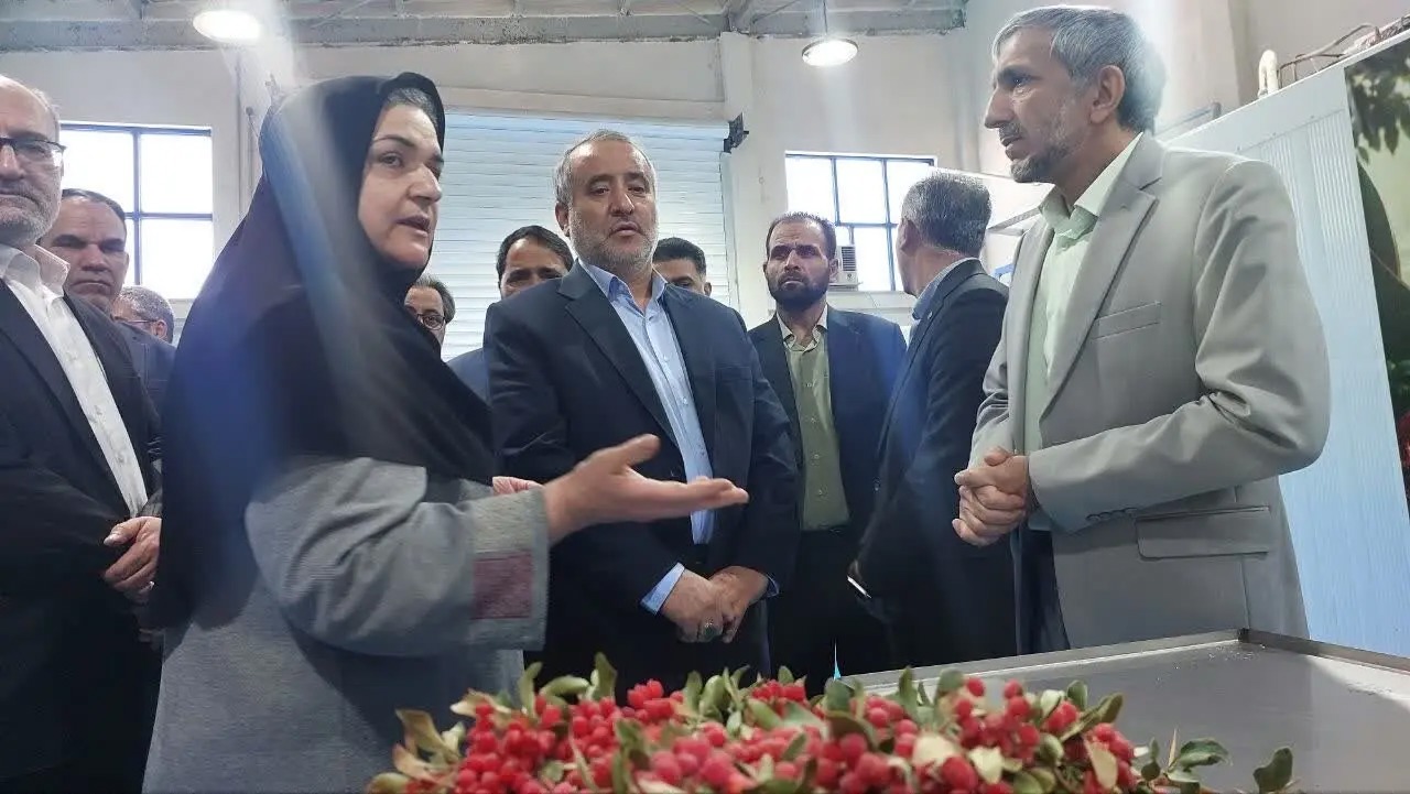 🎬بازدید استاندار خراسان جنوبی از دو واحد فرآوری محصولات کشاورزی