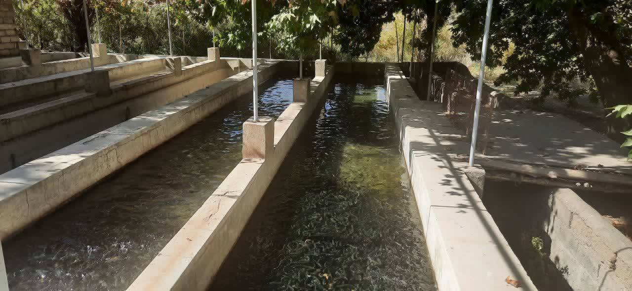 پیام خراسان