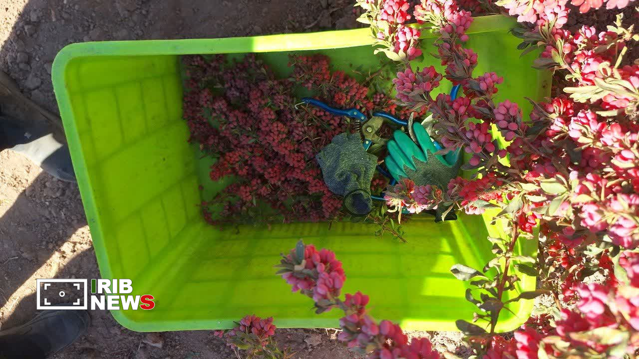 پیام خراسان