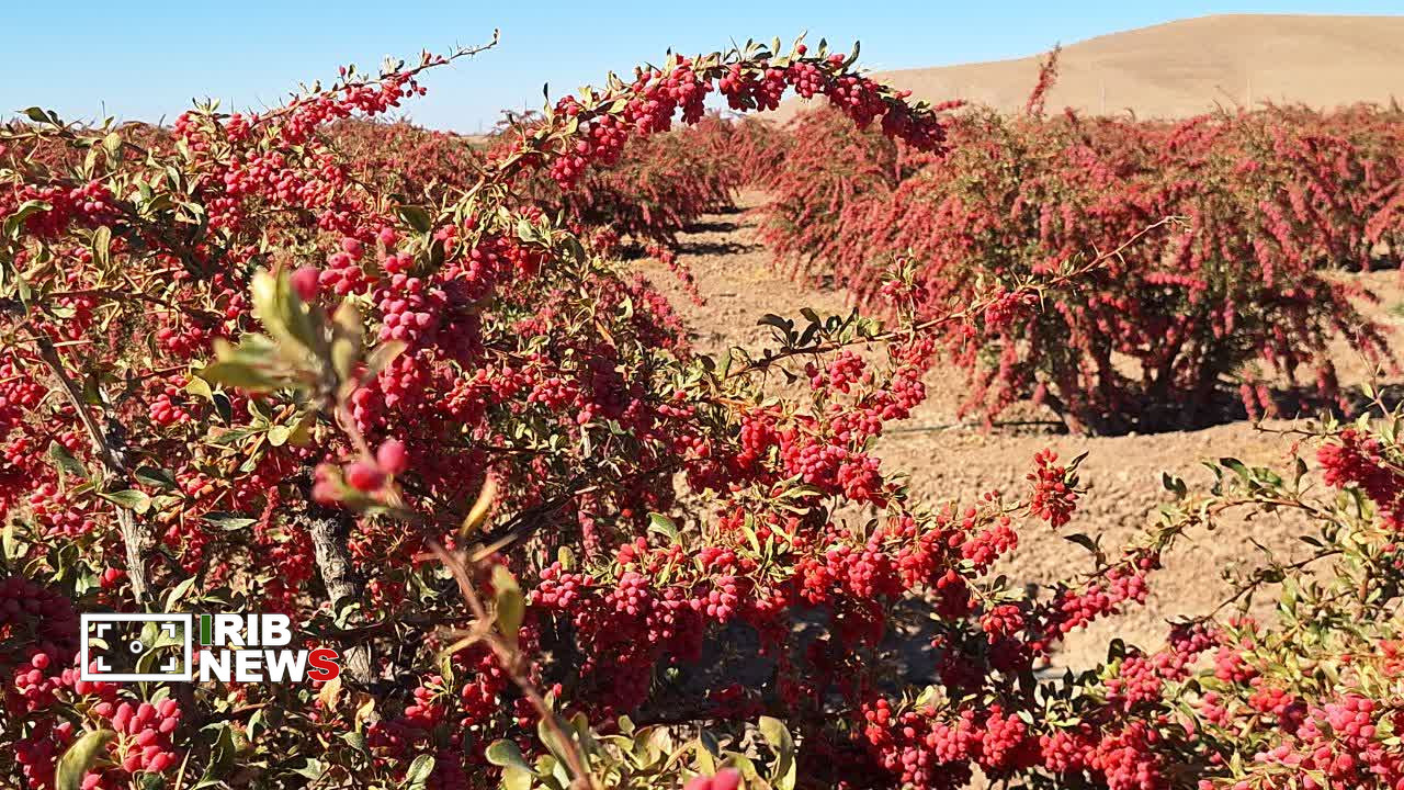 پیام خراسان