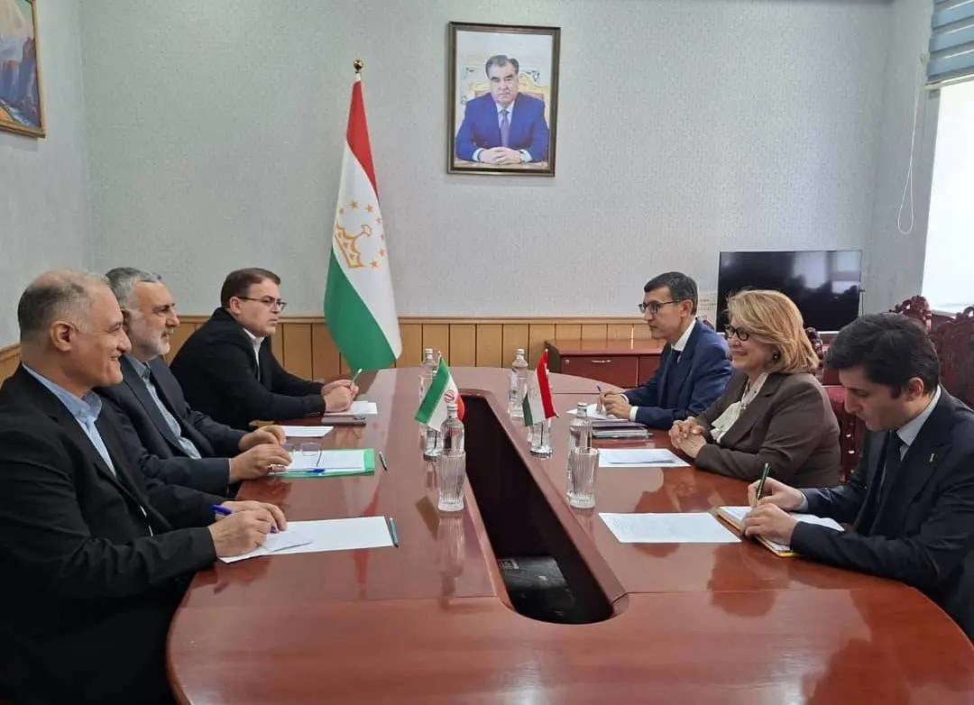 تاکید بر تشکیل کارگروه فرهنگی ایران و تاجیکستان