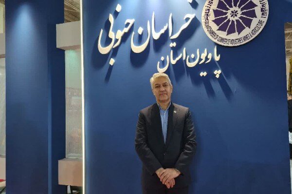خامه‌زر: معدن خراسان جنوبی باید از استخراج به فرآوری و اشتغال برسد