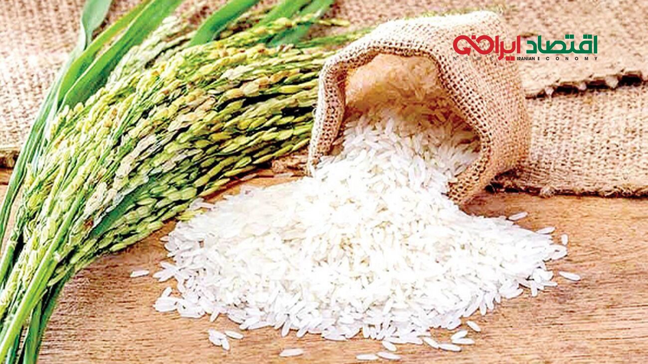 هاشمی درجه یک کیلویی چند ؟
