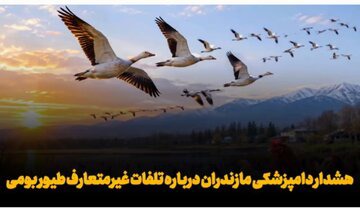دامپزشکی مازندران درباره احتمال شیوع آنفلوانزای پرندگان هشدار داد