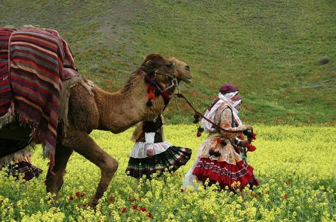 آغاز کوچ پاییزه ۲ هزار خانوار عشایری خراسان شمالی به مناطق قشلاقی
